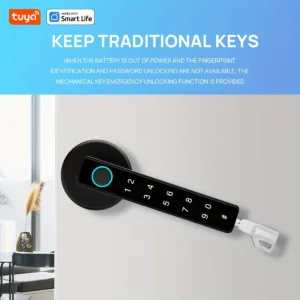 Tuya Bluetooth Biometric Electronic Lock Smart Fingerprint Password App Unlock Intelligent Door Handle Lock Home Security — image 5