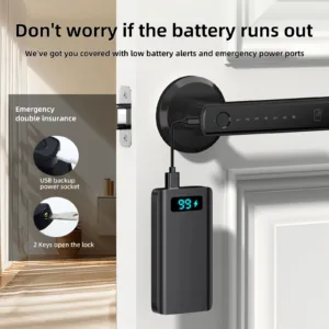 Viladepot Smart Lock Fingerprint Door Lock App Control Passcode Unlock Electronic Touchscreen Keypad — image 4
